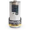Sundance Spa Filter OEM 6540-488