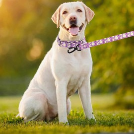 Pimaodog Martingale Collar for Dogs, 5FT Dog Leash Padded, Dog Collar and Leash Set, Daisy Floral Design Pet Collar, Adjustable for Medium Large Dogs (Purple, Medium)