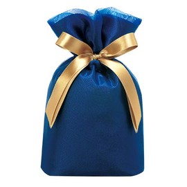 包む Wrapping Gift Bag Organza Blue T2803S