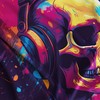 Skull with Headphones Flag - Music Large Funny Flag -