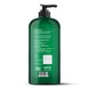 Botanic Hearth Tea Tree Body Wash -16 fl oz- All-Natural