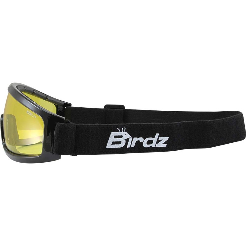 Birdz Eyewear Robin Sport Skydiving Snowboarding Motorcycle Riding Safety Goggles