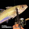 VARIVAS PE Line, Abani, Saltwater Finesse PE X8, 150 m,