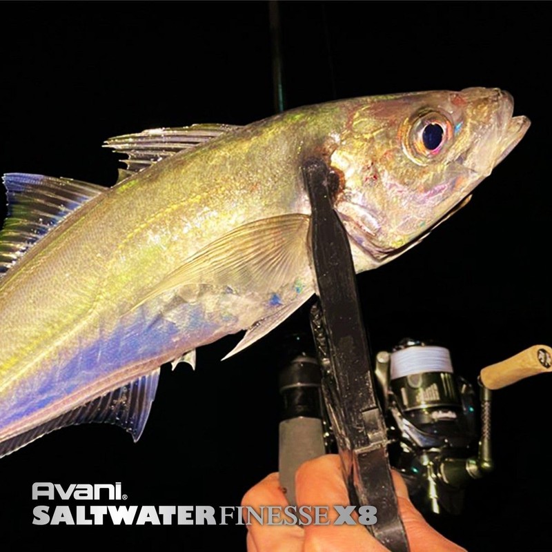 VARIVAS PE Line, Abani, Saltwater Finesse PE X8, 150 m,