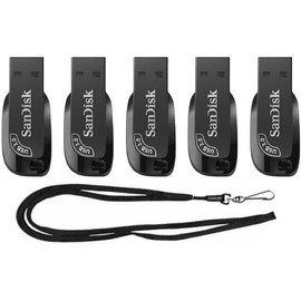 SanDisk 256GB (5 Pack) Ultra Shift USB 3.0 High Speed 100MB/s Flash Drive SDCZ410-256G Bundle with (1) GoRAM Black Lanyard (256GB, 5 Pack)