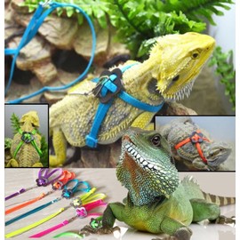 Generic Adjustable Reptile Lizard Harness Leash Adjustable Multicolor Light Soft Fashion (Green)