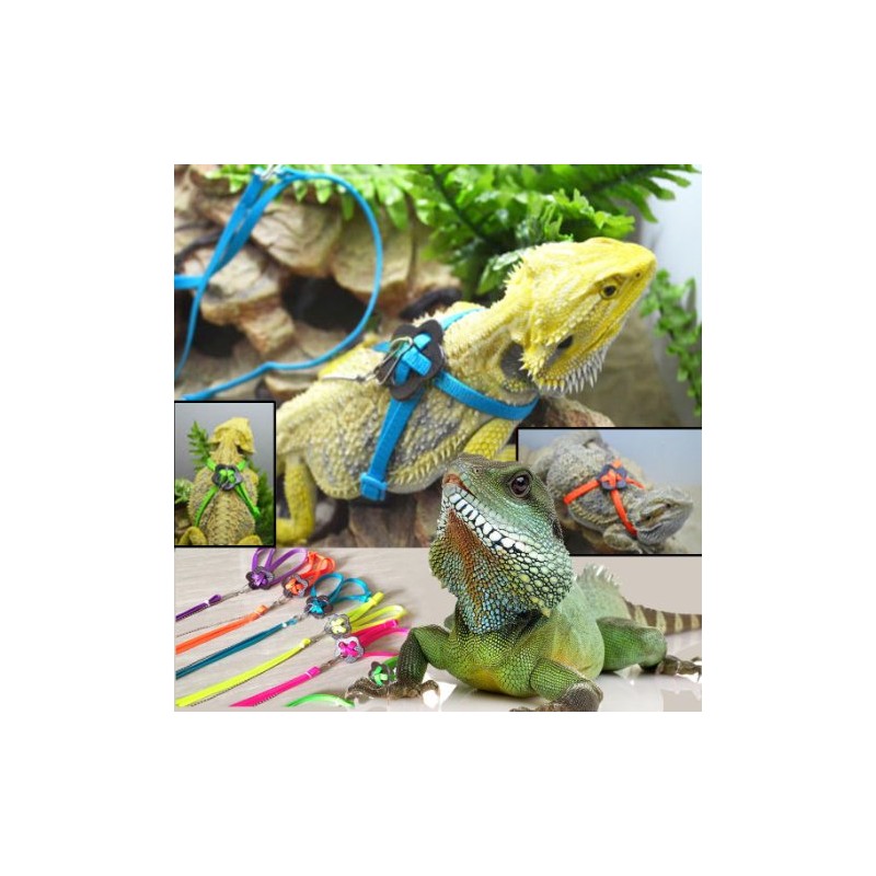Generic Adjustable Reptile Lizard Harness Leash Adjustable Multicolor Light Soft