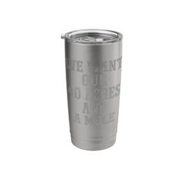 We want our 40 acres and a mule Stainless Steel Insulated Tumbler