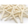 Starfish | (20) White Finger StarFish 4"-5" | Nautical Crush