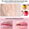 Ninnyi 4PCS Strawberry & Honey Bee Lip Balm, Moisturizing Lips
