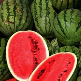 Southeast Seeds All Sweet Watermelon Seeds, Citrullus Lanatus, NON-GMO, Heirloom, FREE SHIPPING - 50 Seeds
