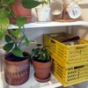 YQLDAHU 1-Pack Small Storage Crates, Golden Yellow Stackable & Foldable