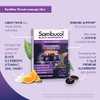 Sambucol Black Elderberry Throat Lozenge - with Honey, Vitamin C