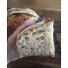 Great Grandmas EASY Sourdough Starter Heritage San Francisco - Live