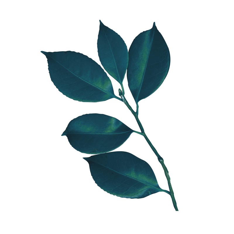 Moisturizing Cleansing Milk 200ml