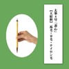 Shunkoen SPFH-800 Calligraphy Brushes, First Time Bush Brush, Thick, Set