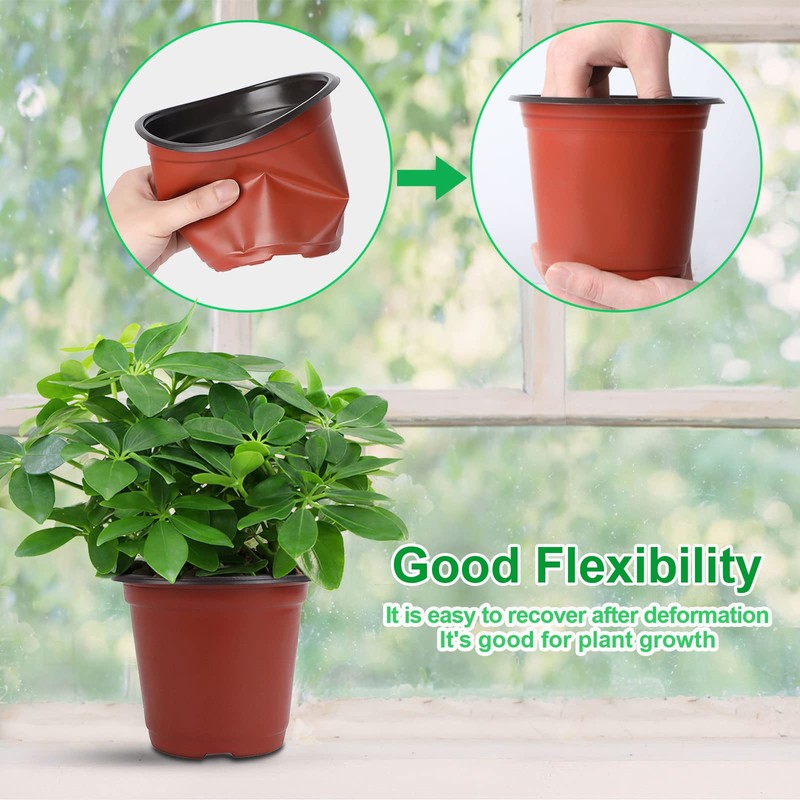 Augshy Augshy 40 Pcs 6" Plastic Plant Nursery Seed Starting