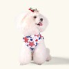 CuteBone 4th of July Dog Shirts 2-Pack Soft Pet Clothes