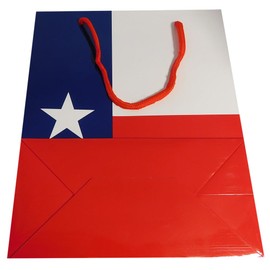 Trade Winds State of Texas Flag Lone Star Gift Bag