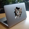 Tabby Cat Decal - Wall Hole Cat Sticker with 3D