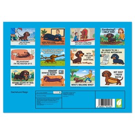 Dachshund Reign (Monthly Wall Calendar 2026 11.7" x 16.5" (open)), CALVENDO 14 Month Calendar
