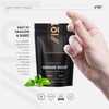 Organic Ginger Root 1400mg - High Strength Zingiber Officinale Supplement