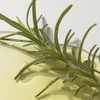 Rosemary AHA Night Serum 30mL / 1.01 fl oz