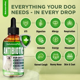 Dog Antibiotics for Infections, Cough, & Itching | Natural Antibiotics for Dogs for All Ages to Promote Wound Healing | Dog UTI Treatment and Tooth Infection Treatment | Chicken Flavor | 2 Oz