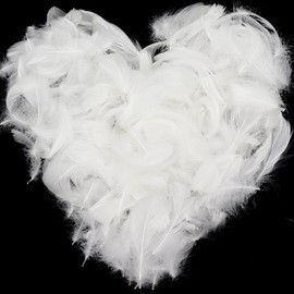 700pcs White Feathers for Crafts, Natural Goose Feathers White Feather Fantasy Ornament, Feathers Bulk for DIY Decoration Handmade Crafts Wedding Dream Catchers (White)