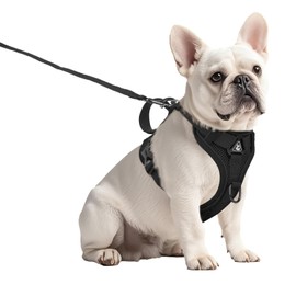 Small Dog Harness and Leash Set Adjustable Tactical Vest Breathable Puppy Harness with Handle for Walking Reflective Jacket XS Dog Harness