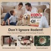 Mouse Repellent 34 Balls, Peppermint Rodent Repellent for Indoor &