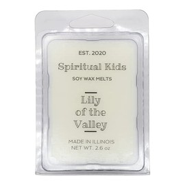 Lily of the Valley Soy Wax Melts 2 Pack - 2.6oz 6 cubes Hand Poured with Fragrant/Essential Oils! | Floral Wax Melts | Birthday Gift | Christmas Gift |