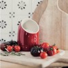 Emile Henry Made In France The Salt Pig| Burgundy