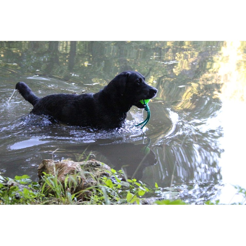 Activity4Dogs Dog Toy for Large Dogs, Ball with Loop, Set