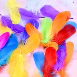 Pack of 100 Colourful Natural Feathers Craft Feather Decorative Feathers for Crafts Goose Feather Mixed Coloured Feathers Fluffy Feathers for DIY Artwork Carnival Masks Hats Earrings Party Dream