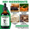 Kidney Support Supplement for Dogs - 60 ml Restore Normal