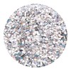 GLITTIES - (6PK) - Amazing Variety Of Holographic Silver Glitter!