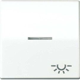 Jung rocker with light symbol, AS591KO5L