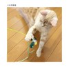 Doggy Man Catty Man Puffy Cat Buzzing Dragonfly Cat Cat