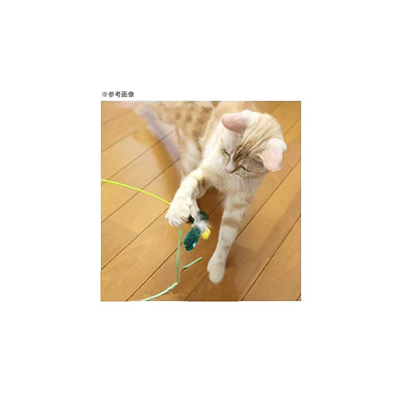 Doggy Man Catty Man Puffy Cat Buzzing Dragonfly Cat Cat