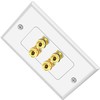 Tunghey 2Pack Gold Plated Speaker Wall Plate With Banana Plug