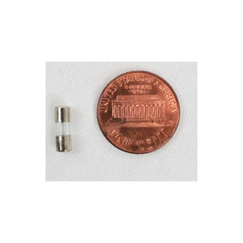 Divine Lighting 2.5A (2.5 Amp) GMA Glass Fuses, 3.6x10mm (0.14