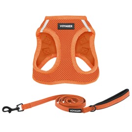 Voyager Step-in Air Cat Harness - All Weather Mesh Step in Vest Harness for Small and Medium Cats by Best Pet Supplies - Set (Orange), XXXS