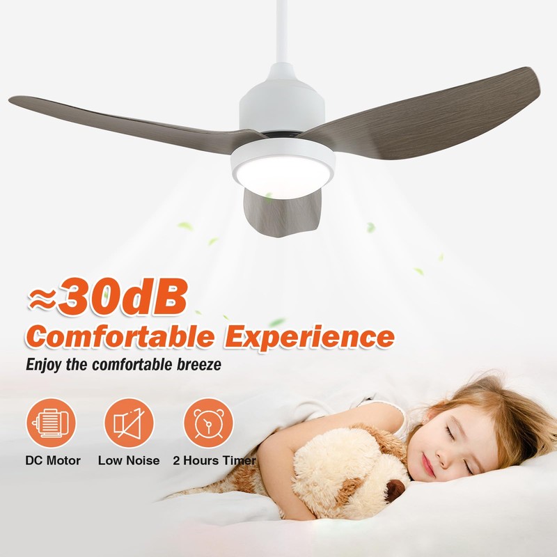 BZX Waterproof Outdoor Ceiling-Fan with Light - 42" Modern Ceiling