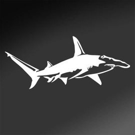 Express Yourself Products Great Hammerhead Shark (White - Image Facing as Shown - Large) Decal Sticker - Saltwater Fish Collection