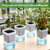 20 Pack 2.5 Inch Small Self Watering Pots for Indoor