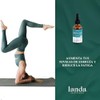 Landa Extracto Liquido Hongo Cordyceps Líquido Militaris 100 Orgánico Alta