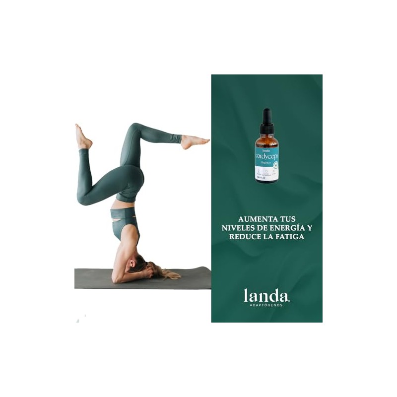 Landa Extracto Liquido Hongo Cordyceps Líquido Militaris 100 Orgánico Alta