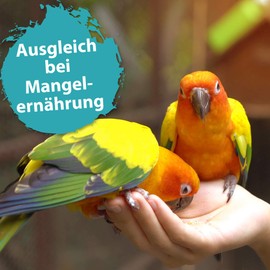 Ida Plus Ida Plus - Mispusan Pulver 200 g - Mineralfuttermittel mit Vitamin D3, Calcium & Spurenelementen f1r Amphibien, Reptilien & V?gel - Wellensittich, Kanarienvogel, Papageien & Bartagame - Mineralstoffe