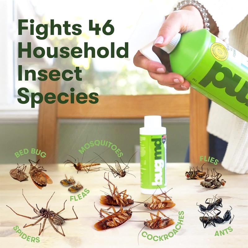 BugMD Ant Killer & Bug Spray Concentrate - Roach and